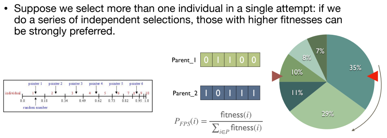 Stochastic Universal Sampling 도식